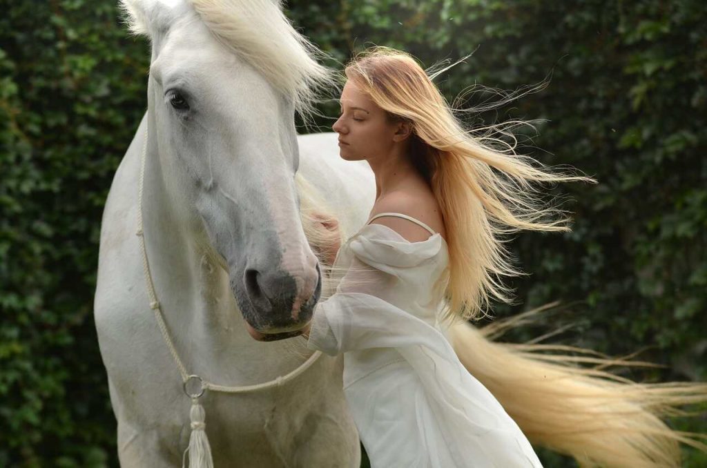 Does a Horse Have
