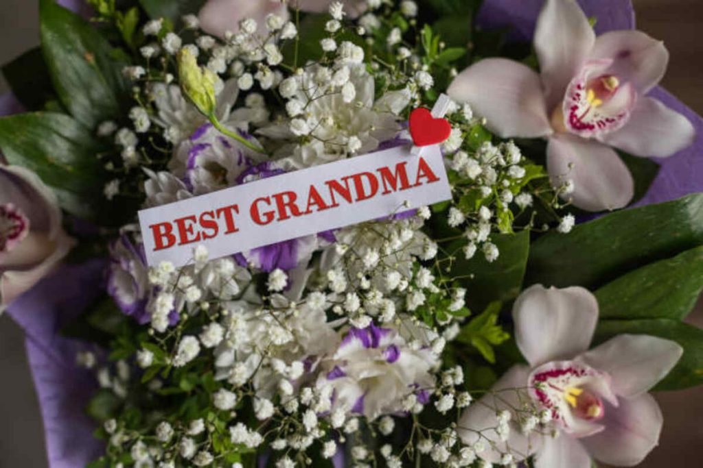 Belle Flower - A Symbol of Gratitude and Appreciation