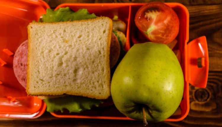 Lunch Box Which Keeps Food Warm