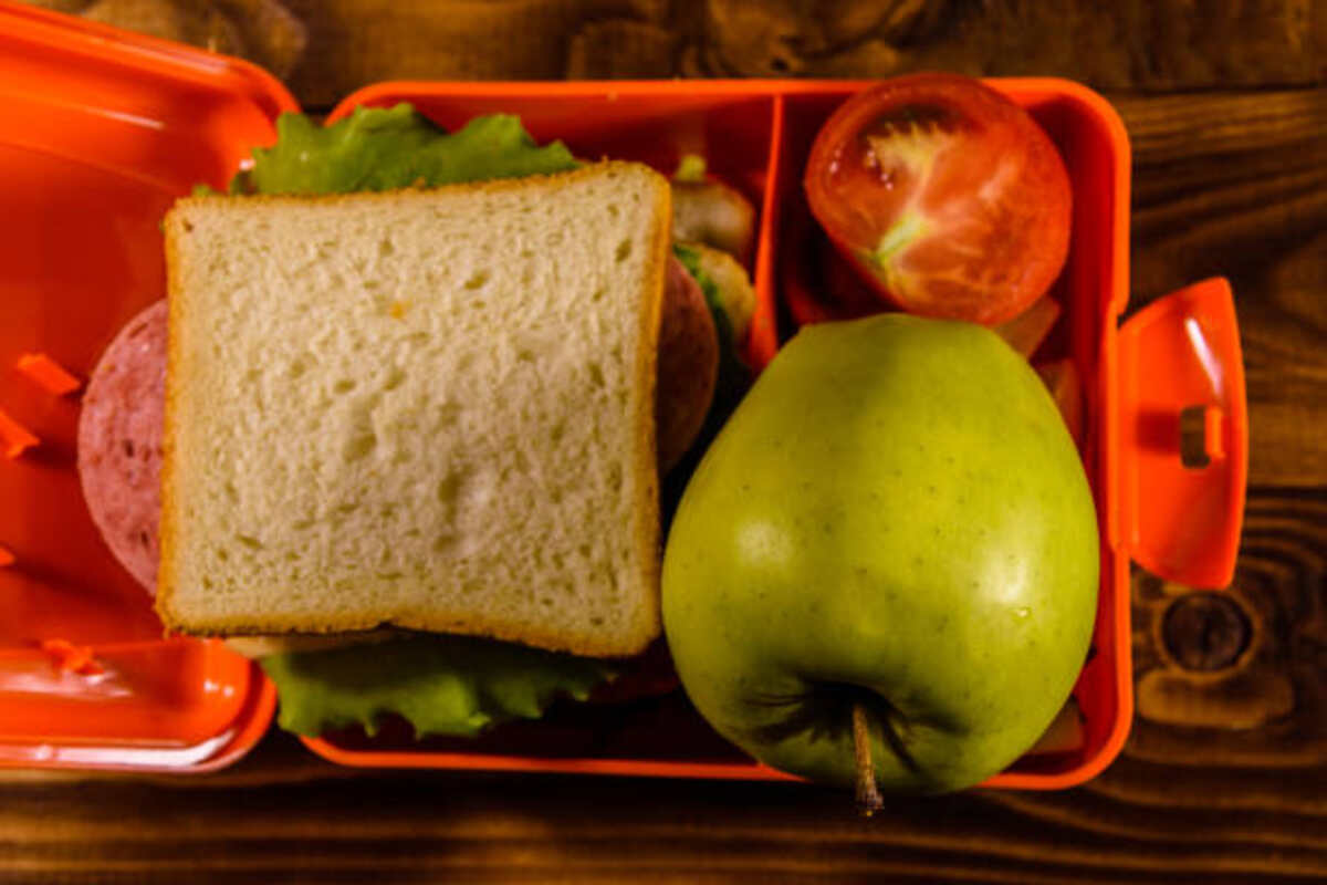 Lunch Box Which Keeps Food Warm