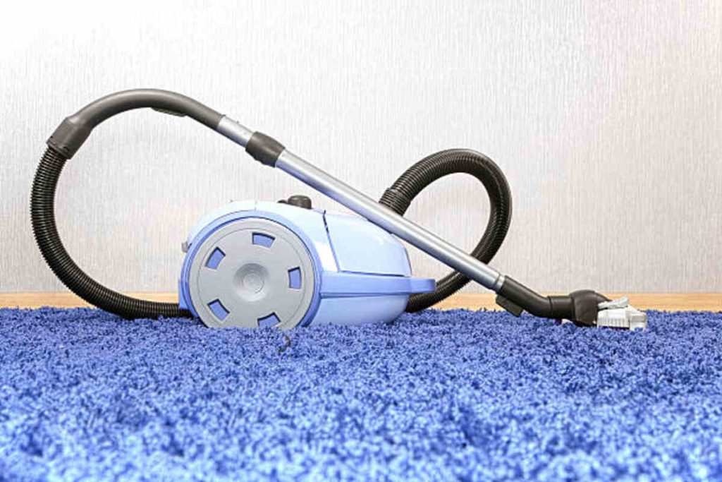 Best Vacuum For Shag Carpet