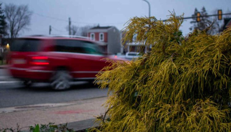 American Vandal Season