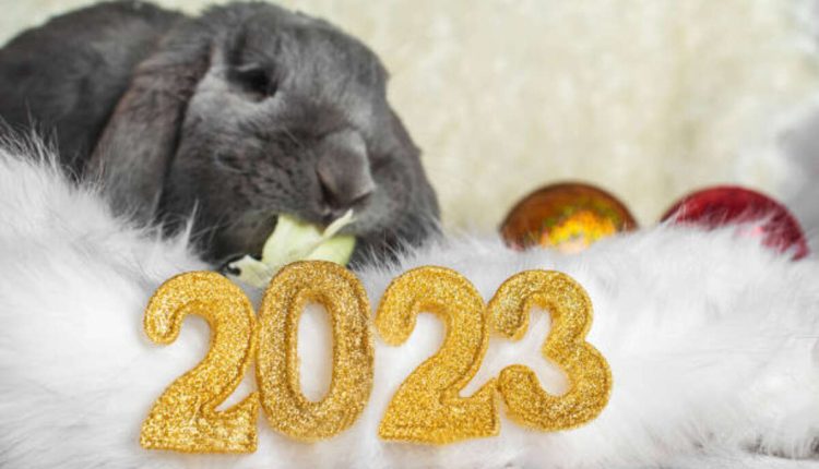 Peter Pan Coloring Page