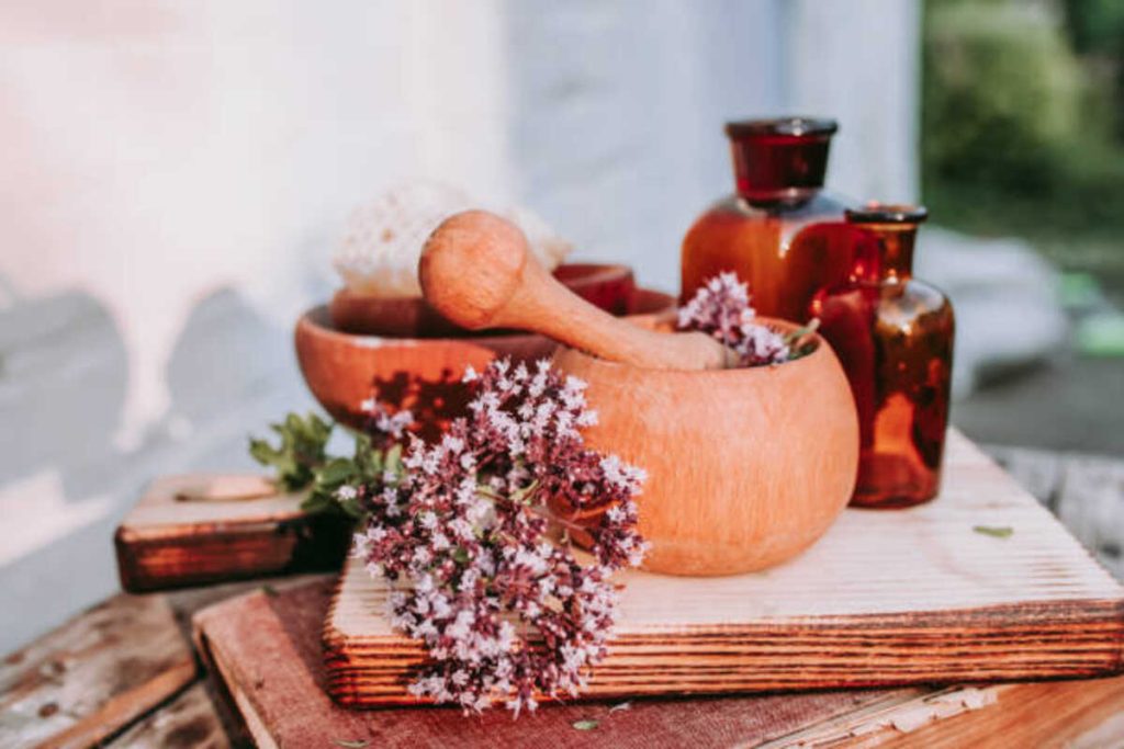Starting an Edible Oil Business