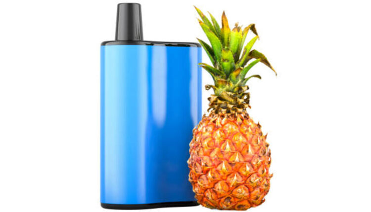 THCA Gummies A Beginner's Guidebook